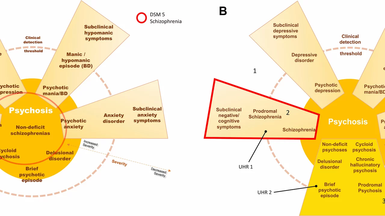 The Role of Olanzapine in Managing Psychotic Symptoms